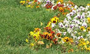 Check spelling or type a new query. Ta Phre Sth Synodo Koryfhs O Makron An Den Balete Kyrwseis Sthn Toyrkia 8a Balw Monos Moy Sportime Gr