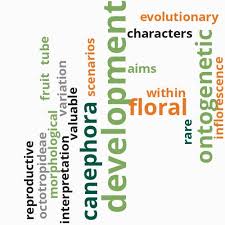 Image result for Ixora kalehensis