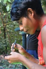 Fungi Hunters Uncover Hidden Worlds