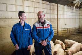 De brandweer is met groot materieel uitgerukt en heeft opgeschaald naar grip 1. Maatschap Van Heugten Friesen Boeren Van Nederweert Boeren Van Nederweert