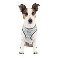 vibrant life flex knit body dog harness medium assorted