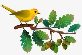 We did not find results for: Oak Tree Branch Gambar Ilustrasi Flora Fauna Png Image Transparent Png Free Download On Seekpng