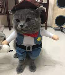 Pet Cat Costume Suit Cowboy Outfit Clothes For Halloween Christmas Party Special Event Dressing Up Suitable For Large Cats And Christmas Cats Cat Costumes Cats