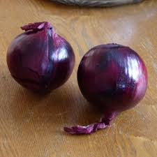 Press the bulbs into the soil, covering them with more soil. Planting And Harvesting Red Onions How To Grow Red Onions