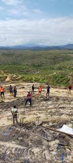 Felda holdings berhad is the largest crude palm oil (cpo) producer in the world, with 71 palm oil mills and many refineries in its operation. Felda Global Ventures Holding Berhad Home Facebook