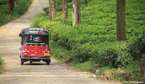 They are the means of transport nummero one in the country. Sri Lanka Privat Mit Dem Tuk Tuk Uber Die Dorfer Reisen