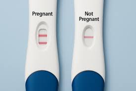 Image result for Pregnancy Test