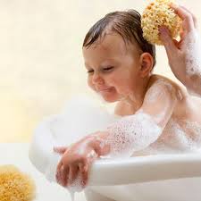 4.4 out of 5 stars 445. Bellini Honeycomb Bath Sponge Natural Sea Sponge Small 0 Months Walmart Canada