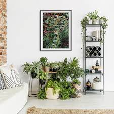 Veins Of Life Photo Print Home Interior Home Decor