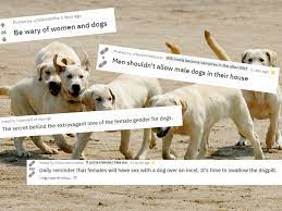 Dogpilling: the online theory that women are rejecting men to have sex with  dogs - New Statesman