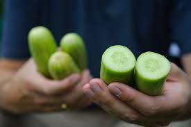 We did not find results for: How To Grow Cucumbers Bbc Gardeners World Magazine