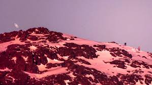 Será el último evento astronómico del año: Fotos Chileno Fue Premiado Por Fotografiar A Saturno Desde La Cordillera Cooperativa Cl