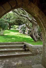 Pin On Gardens