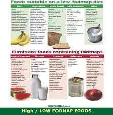 List Of High Low Free Fodmap Foods 2019 Lowfodmap Com