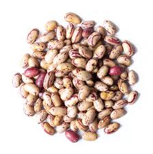 Cranberry beans by charlie burke. Cranberry Beans The Champions In Protein And B Complex Vitamins Content Healthy Blog