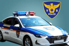 “도로에 사람 쓰러져 있다” 신고… 출동 순찰차에 밟혀 사망 - 더쿠