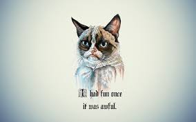 Tag Someone That Loves It Welcome To Coolcatlovers Com Animals Animaldesign Cat Wallpaper Hipster Cat Funny Cat Wallpaper