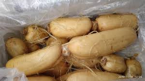 We did not find results for: Lotus Root Atau Akar Teratai Kg Shopee Indonesia