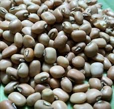 Image result for Vigna racemosa