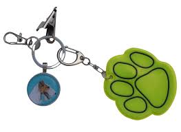 Image result for foxterier drsnosrstý