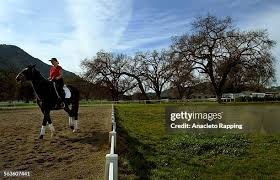 152 Nancy Oaks Stock Photos, High-Res Pictures, and Images