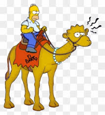 They're beasts (animals) carrying a burden (your crap). Lisa Camel By Gatorgod Homer Simpson Riding A Camel Free Transparent Png Clipart Images Download