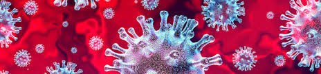Reported cases and deaths by country, territory, or conveyance. Perioperative Considerations For The 2019 Novel Coronavirus Covid 19 Anesthesia Patient Safety Foundation
