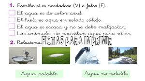 Estas fichas para imprimir para primaria cuentan con diferentes características que hacen de ellas una herramienta para el aula y/o para casa en el aprendizaje diario del niño. Fichas Para Imprimir Del Area De Ciencias Sociales Primaria Primer Grado Tus Materiales Docente