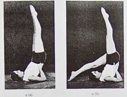Salamba Sarvangasana It S History Meaning And Method Bahiranga Com
