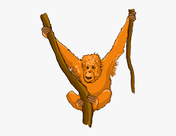 & quot dina kaca ieu anjeun tiasa ngundeur gambar bébas di png format orang utan. Cartoon Orangutan Cute Orangutan Cartoon Transparent Png Png Download Transparent Png Image Pngitem