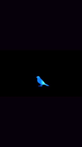Blue Bird Opening 3 Of The Narutoshippuden Papel De Parede Naruto Papel De Parede Anime Deidara Wallpaper