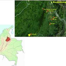 Cuevana es un programa con el que podrás encontrar las últimas películas y los capítulos de un sinfín de series de televisión actuales. Pdf Geotourism In Caves Of Santander As A Novel Strategy For The Protection Of Natural And Cultural Heritage Associated To Underground Ecosystems