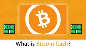 We recommend coinbase, which we discuss a bit more down below. What Is Bitcoin Cash The Most Updated Beginners Guide
