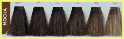 7m Hair Color 195798 Matrix Wonder Brown Wb 7m Hair Color