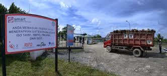 Dari setiap ton tbs yang diolah dapat menghasilkan 140 sedang menyusun tugas sarjana. Dari Kebun Ke Pabrik Dalam 24 Jam Pt Sinar Mas Agro Resources And Technology Tbk Pt Smart Tbk