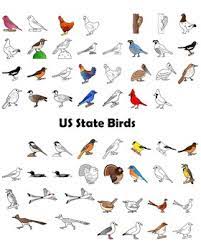 Depending on the situation, they may for more or less than this amount. Us State Birds And Us State Flowers Clip Art Bundle By Dancing Crayon Designs