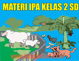 Pemetaan ki dan kd paibp sd kurikulum 2013. Materi Ipa Kelas 2 Sd Mi Semester 1 2 Lengkap