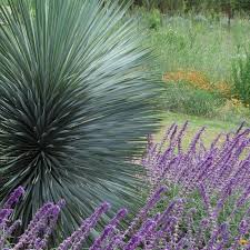 Check spelling or type a new query. Waterloo Outdoor Design Build Home Facebook