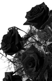 Pin On Black White Asthetic
