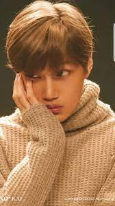 pin by nini on 3 kai 3 exo kai kim jong in exo
