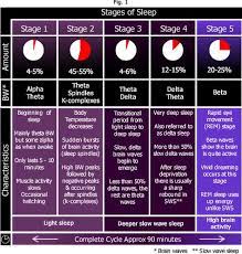 The Different Stages Of Sleep Stages Of Sleep Rem Sleep Cycle Sleep Health