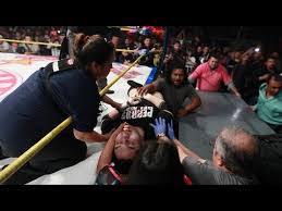 Wwe wrestlers will die earlier than normal from taking steroids. 10 Wrestlers Who Died During A Wrestling Match Youtube