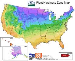 what planting zone do i live in learn what the usda