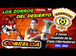 Los vulpinos (vulpini) son una tribu de mamíferos carnívoros incluidos en la familia de los cánidos.se conocen comúnmente como zorros o raposas. Cobreloa Los Zorros Del Desierto 2 Veces Finalista De La Libertadores Clubes Del Mundo Chile Youtube