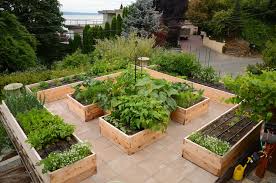 To Build Wood Framed Beds Or Not To Build Wood Framed Beds Seattle Urban Farm Company