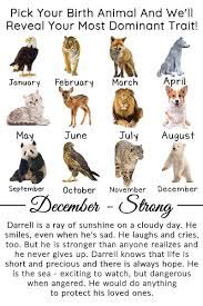 Found On Facebook In 2020 Birth Animal January February March April April May