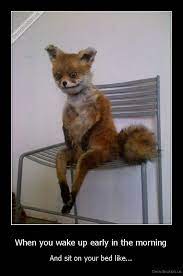 When You Wake Up Early In The Morning Nurse Memes Humor Nurse Humor Nursing Memes