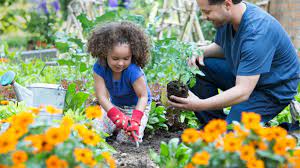 This downloadable guide, will help you precisely space your plants when direct sowing, to optimize productivity and success in the garden. Benefits Of Having A Family Garden