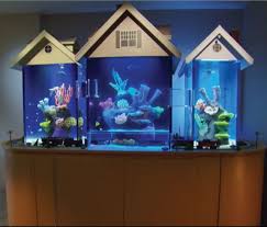 Model aquarium mini berikutnya bisa dibuat dari botol alkohol bekas. 50 Contoh Aquarium Ikan Hias Air Tawar Dan Air Laut