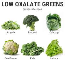 636 Likes 15 Comments Miguel Vegan Personal Trainer Miguelthevegan On Instagram Low Oxalate Greens In 2020 Low Oxalate Low Oxalate Diet Low Oxalate Recipes